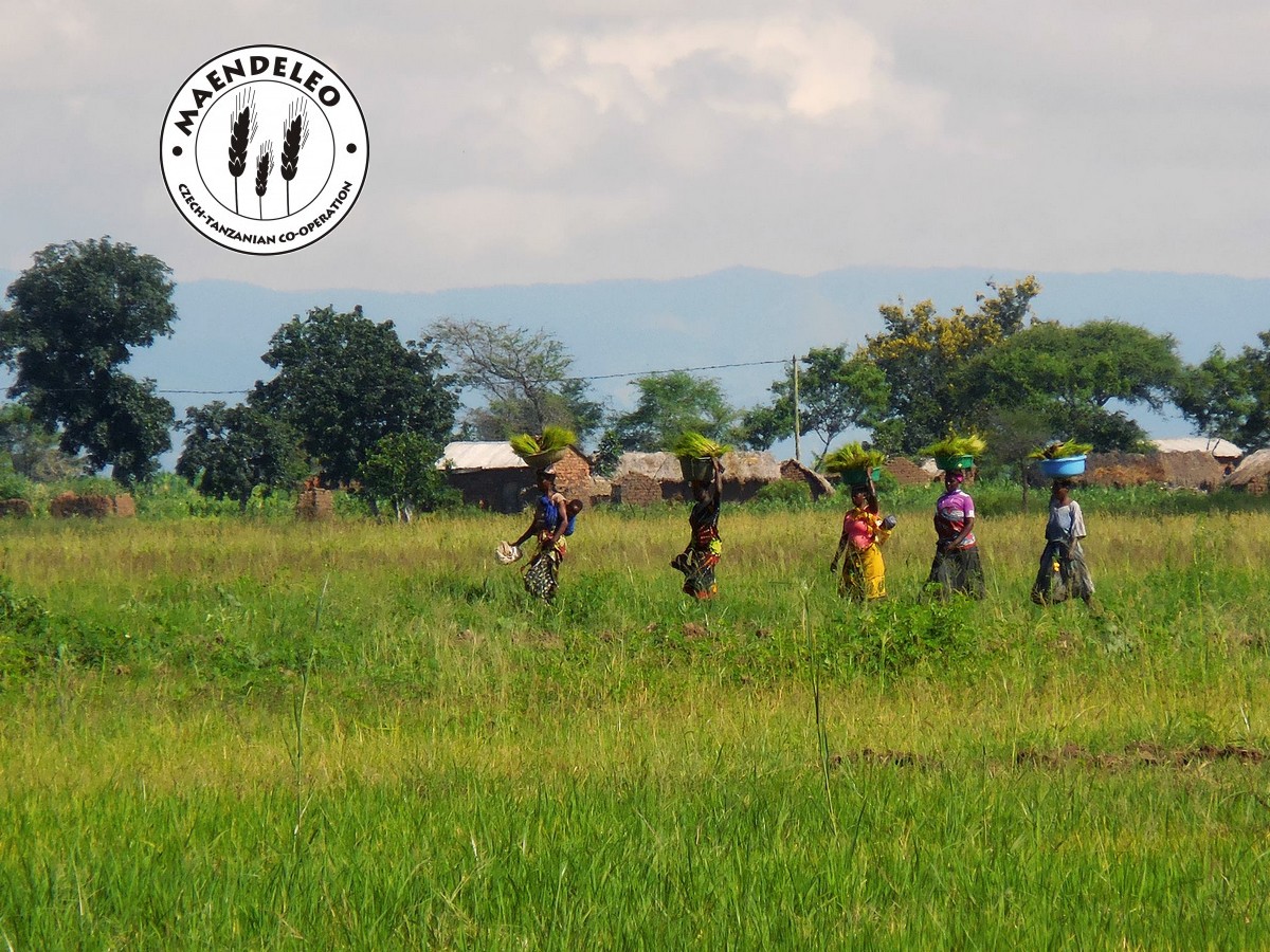Poleťte s námi do Tanzanie … aneb jak se žije v Usangu